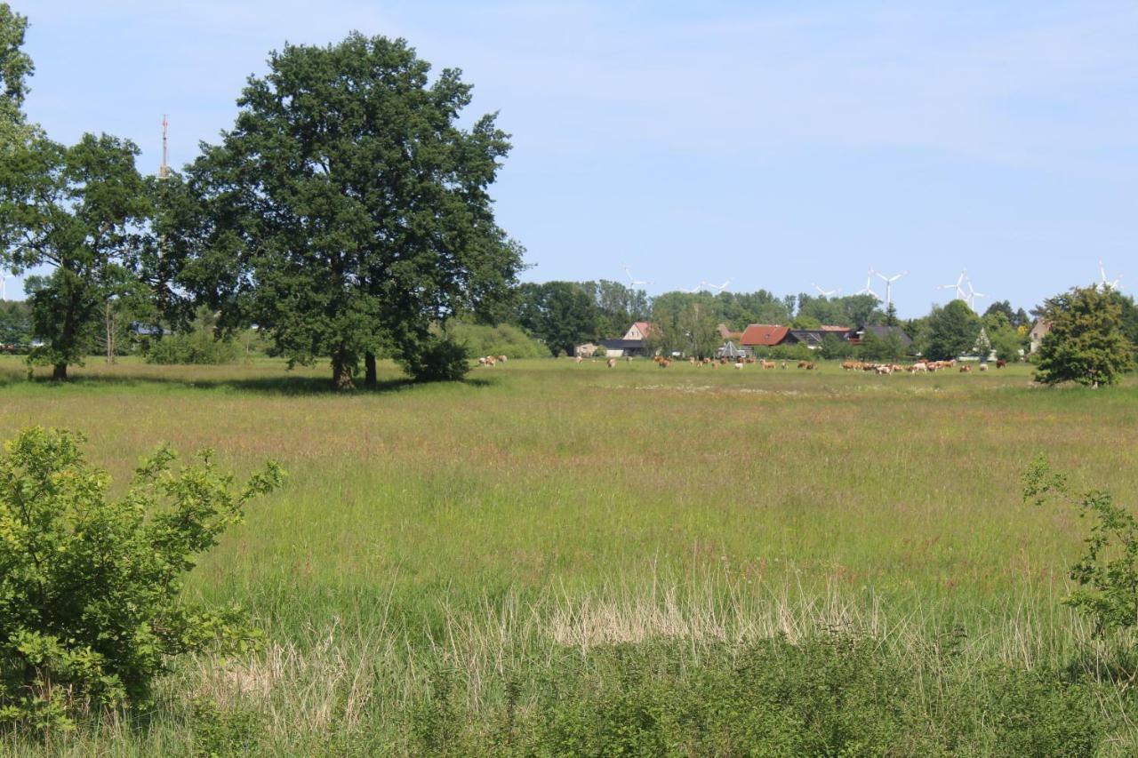 Spreewald Ferienwohnung Lübben Exterior foto